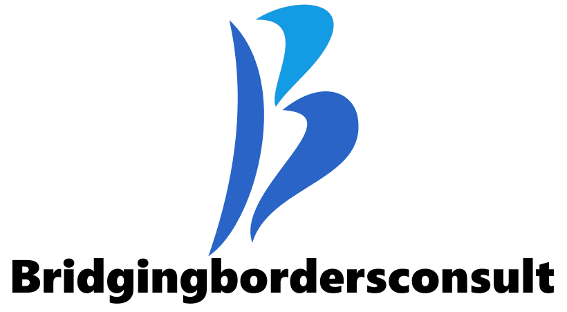 bridgingbordersconsult.com